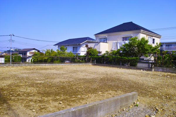 Cost of Lot Clearing Service in Saint Johns