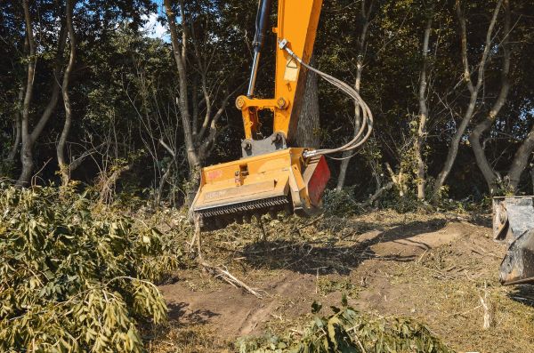 Cost of Brush Removal Service in Saint Johns