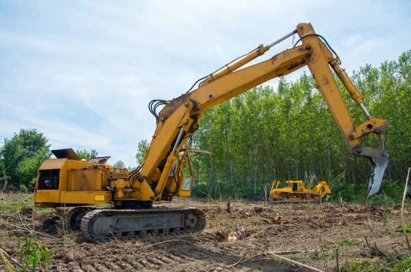 Cost of Farm Clearing in Saint Johns