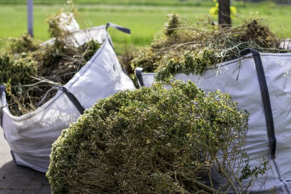 Cost of Bushes Clearing in Saint Johns