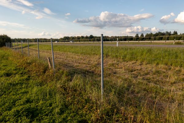 Cost of Property Line Clearing in Saint Johns